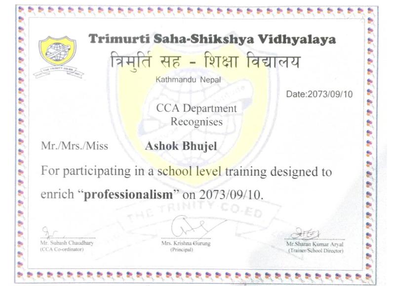 Training on Professionalism